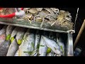 Open air sea fish market in cox 1