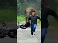 L'éléphant face à un cycliste : une rencontre inattendue