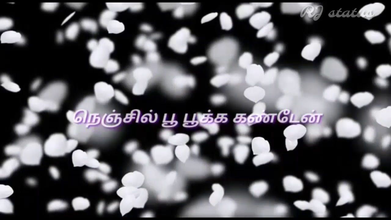 Tamil whatsapp status  ullam kollai poguthada  serial song status  RJ status