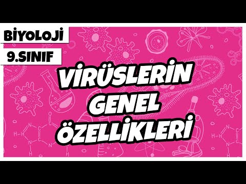 9. Sınıf Biyoloji - Virüslerin Genel Özellikleri