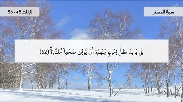 سورة المدثر - جزء 5  - الآيات 48- 56