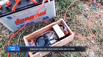 Giăng bẫy điện diệt chuột khiến hàng xóm tử vong | LONG AN TV