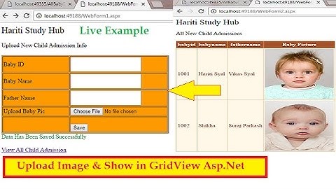 Upload Image in Database and Display Image from Database into Gridview ImageField in Asp.Net | Hindi