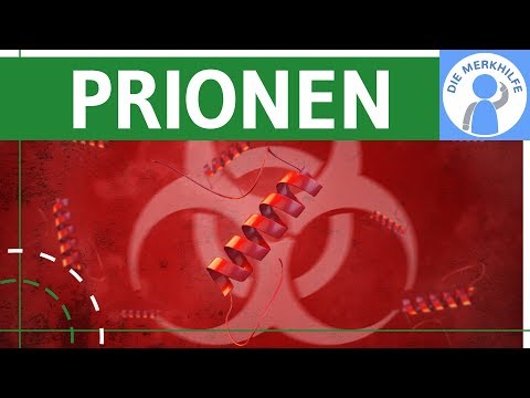 Video: Die Behandlung Mit Ultraviolettem Ozon Reduziert Die Menge An Krankheitsassoziiertem Prionprotein Und Prioninfektiosität