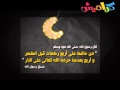 فواصل رمضان 13 قناة كراميش الفضائية Karameesh Tv 