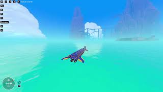 Timing Speed Boat Around Islands News