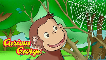 George the Spider Monkey 🐵 Curious George 🐵 Kids Cartoon 🐵 Kids Movies