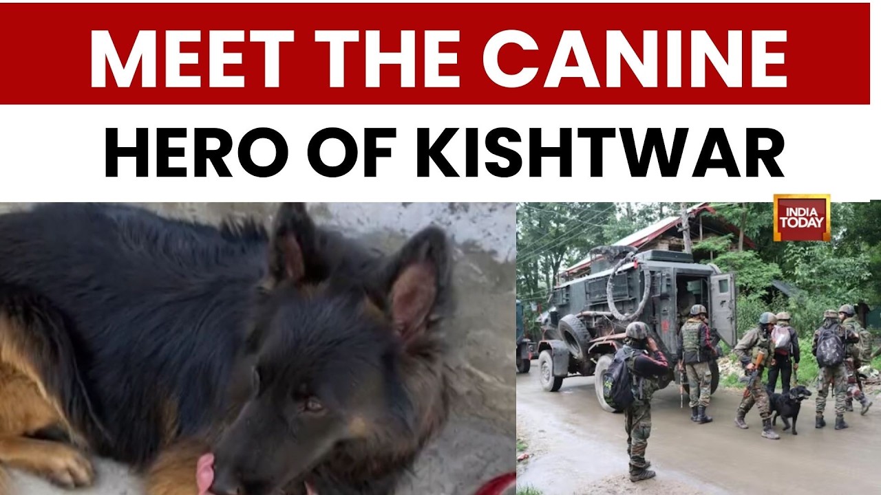 Meet The Canine Hero of Kishtwar Encounter | Jaish Commander Killed in Encounter | Tyson | Saifullah