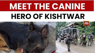 Meet The Canine Hero Of Kishtwar Encounter Jaish Commander Killed In Encounter Tyson Saifullah