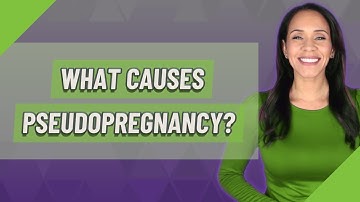 What causes Pseudopregnancy?