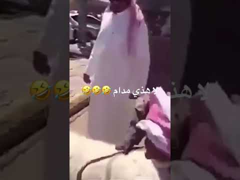 لا هذا مدام