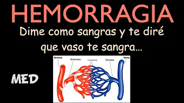 Quais são as substâncias perigosas?