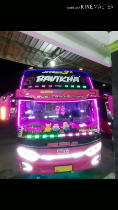 Stj bavikha