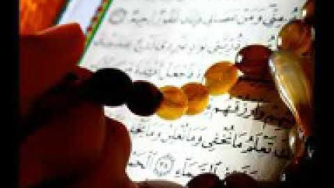 القارئ وليد الدليمي في سورة الفتح