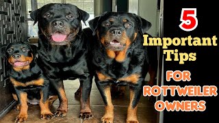 Important 5 Tips for new Rottweiler owners| Rottweiler के मालिकों के लिए 5 जरुरी टिप्स |