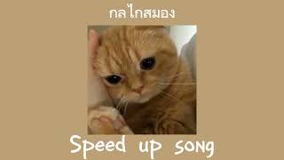 กลไกสมอง - MEYOU (Speed up song)