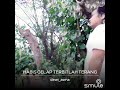 Download Lagu RHOMA IRAMA BARU-HABIS GELAP TERBITLAH TERANG