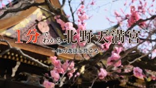 1分でわかる北野天満宮 / 京都いいとこ動画