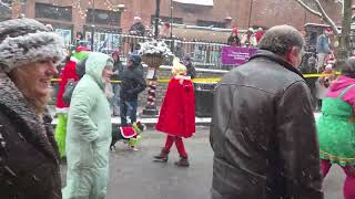 Cincinnati Reindog Parade, Mount Adams  December 2025