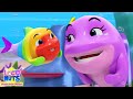 Baby Hai Peek A Boo Lied Lustig Spielend Video für Die Kleinen - Loco Nuts