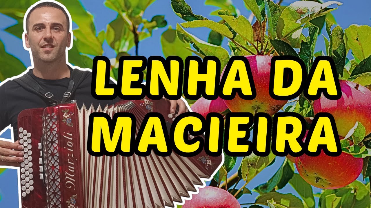 Concertina Uma Tradição da Música Portuguesa Lenha da Macieira