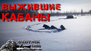 Кабаны ВЫЖИВАЛИ целую зиму в скирде!!!