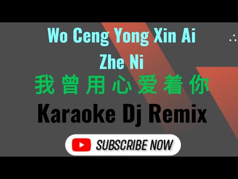 Wo Ceng Yong Xin Ai Zhe Ni Karaoke 我曾用心爱着你 Dj Remix Male 二黑 Er Hei