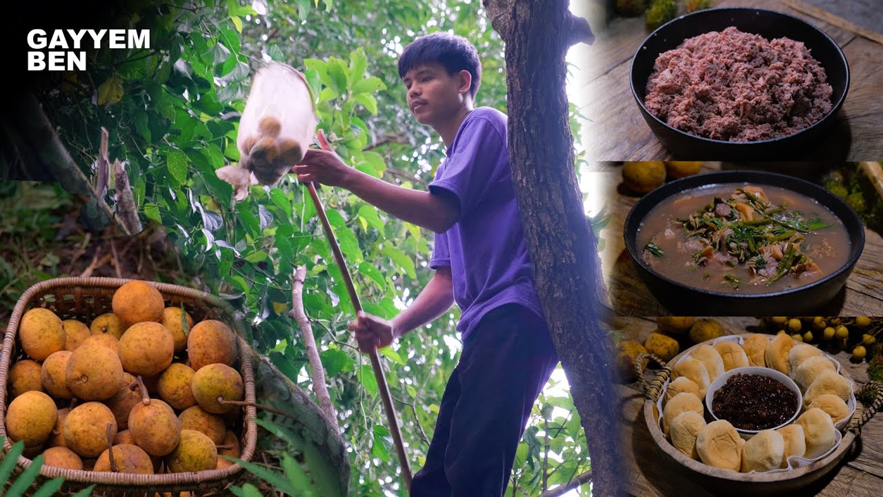 Harvesting SANTOL fruit and cooking various santol dishes | santol pie, juice, jam, ginataang santol