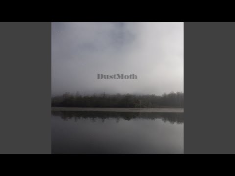 Dust Moth — Pounding