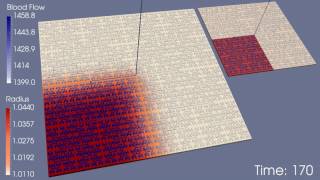 Neurovascular Coupling With K Diffusion Jplc 0.18