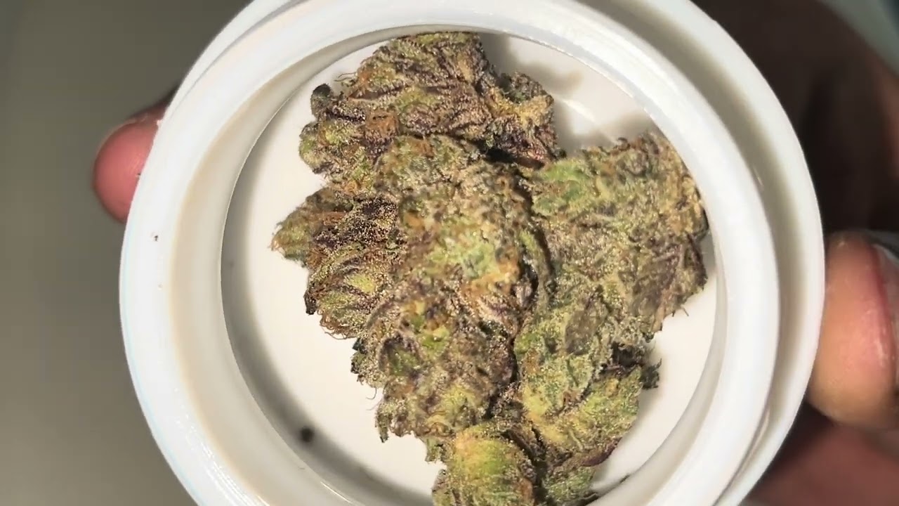 710 Labs - Randy Watzon #13