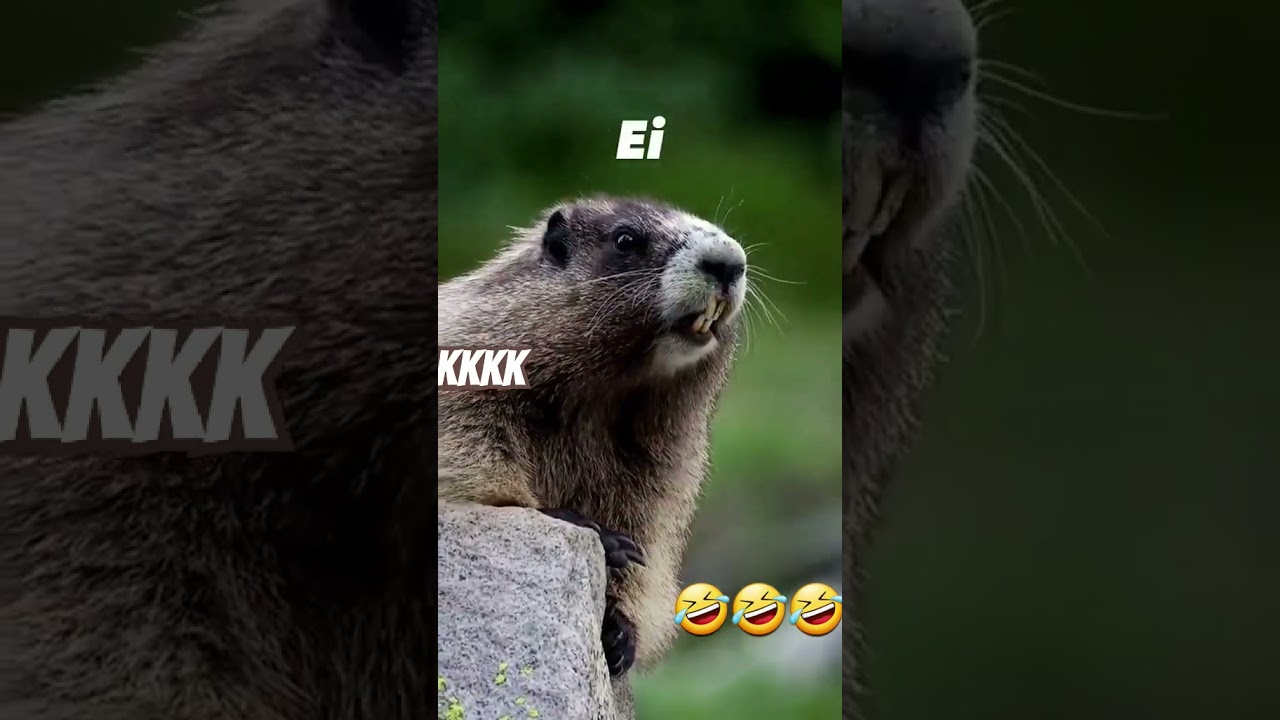 Интересный способ зарядки pix.