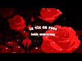 la vie en rose by louis armstrong but it’s raining