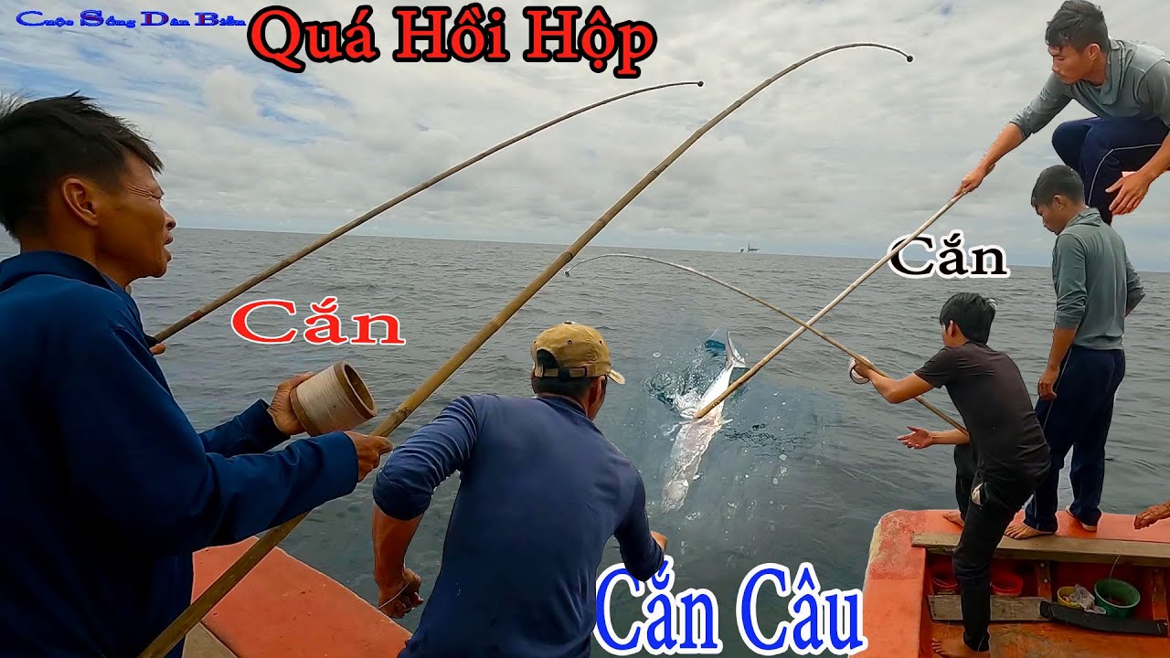 CÂU TAY 12║Độc Đáo CÂU CÁ THU VIP,Hồi Hộp Không Dám La.