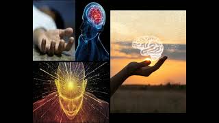 Science Shows That the Brain Does Not Create Consciousness! Top Neurosurgeon Says!