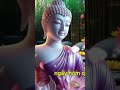 Bí Quyết Buông Bỏ Quá Khứ Để Sống An Yên Và Hạnh Phúc Hơn #baihoccuocsong #tamanlac #phatphapungdung