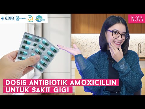 Mefinal Obat Sakit Gigi Diminum Berapa Kali Sehari
