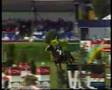 Ref:Se1xcDMODUE Tinka boy beligneux haras jumping