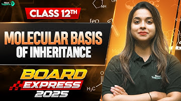 Molecular Basis of Inheritance One Shot in 30 Mins | CBSE Class 12 Biology Important Questions 2025