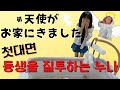 【한일부부/日韓夫婦】남동생을 질투하는 누나의 마음/ 心配していた出来事…