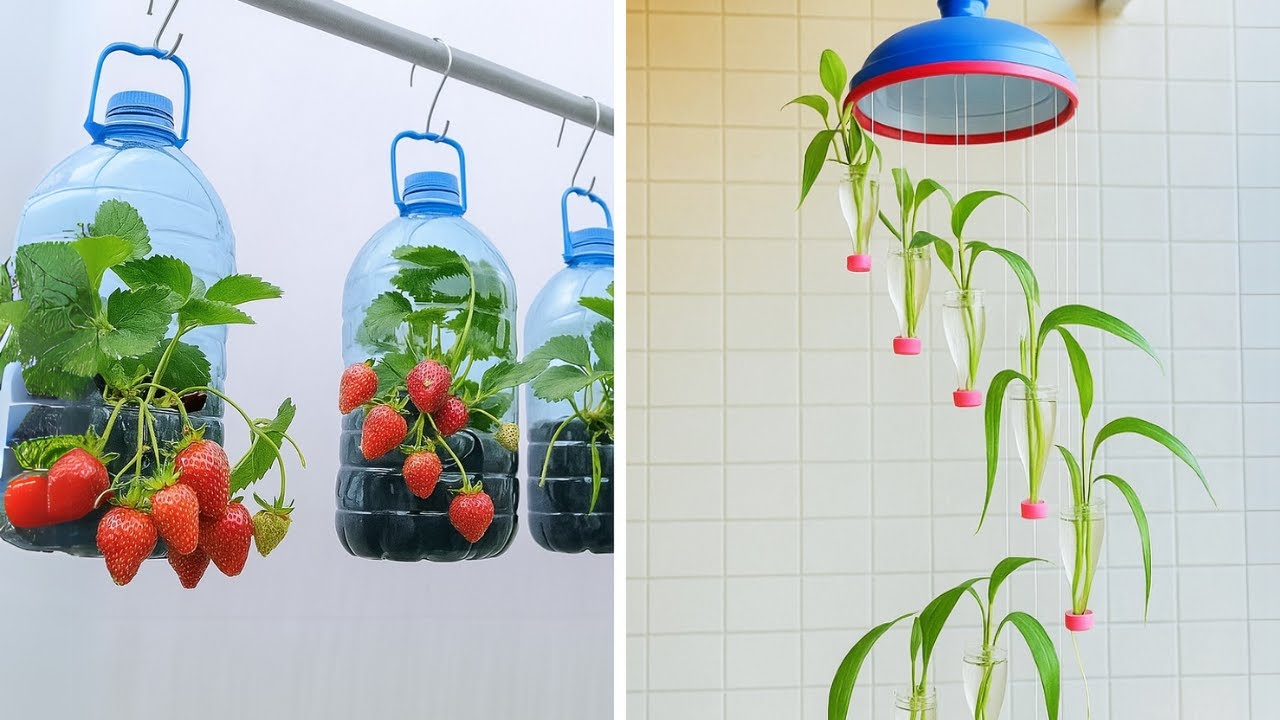 EASY GARDEN HACKS FOR BEGINNERS! Smart Tips for Healthy Plants