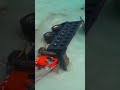 VÍDEO. Al menos un muerto y dos heridos al caer un camión al mar en autopista Las Américas