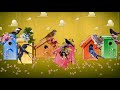 Игра "Птицы" или "Займи свой домик" реклама