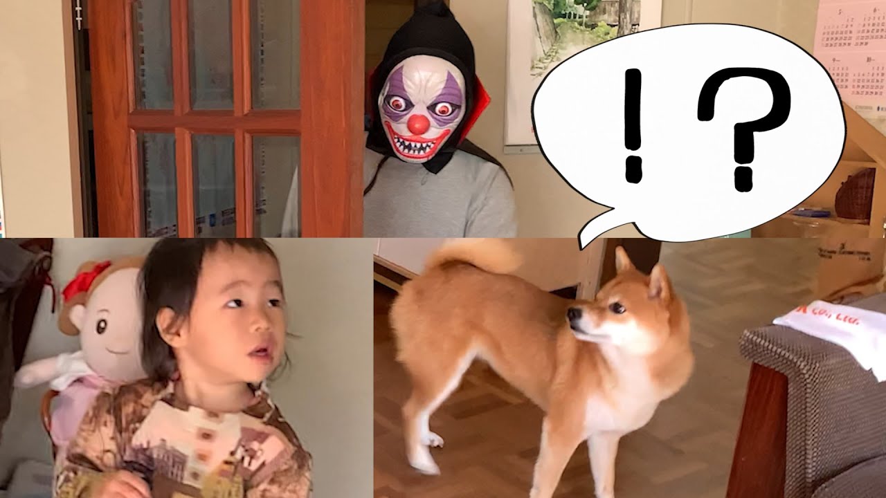 柴犬は２歳娘を守るのか ハロウィンで張り切りすぎたおじーちゃん 犬と子供のvlog Youtube