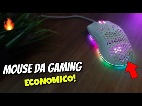 Video: Panoramica Dei Mouse Da Gioco