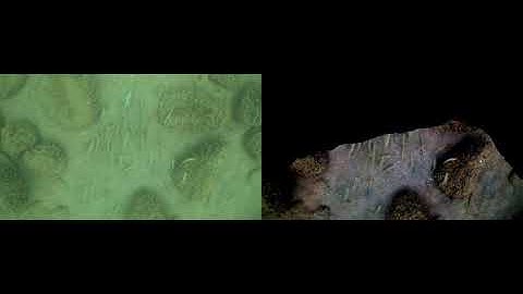 Sea-thru algorithm on video