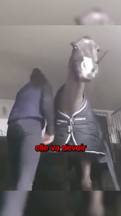 This Horse is Obsessed 😂❤️