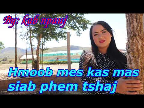 Video: Cov Kab Phem Tshaj Plaws