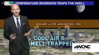 Brad explains: Rotten smell trapped