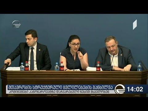 მცირე მთავრობის კონცეფციას მხარი უკვე დაუჭირა 5 მა კომიტეტმა